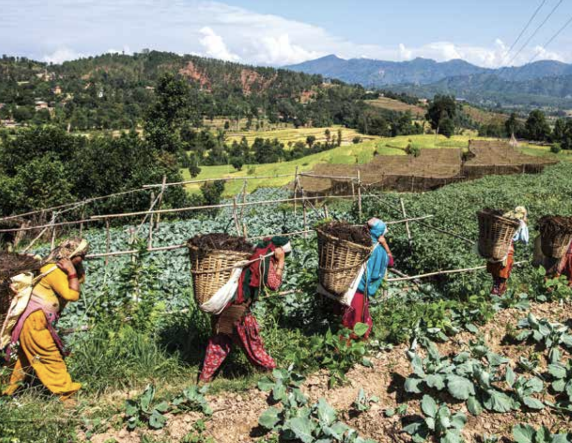 ADB-TA-10172 REG: Building Adaptation and Resilience in the Hindu Kush Himalayas―Bhutan and Nepal (TA Operations Analyst) (57059-001)
